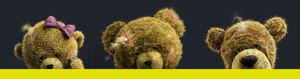 Campaign Teddy Bears